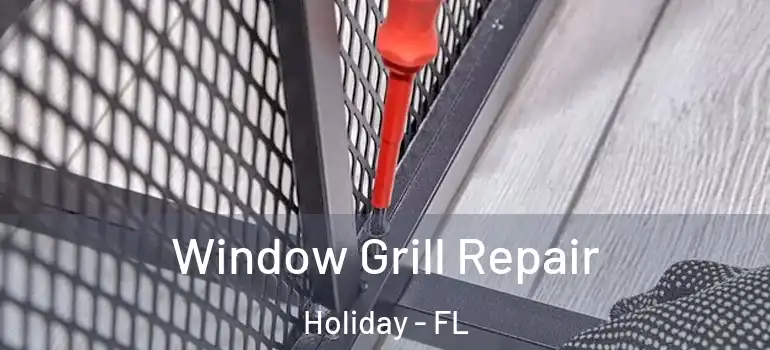 Window Grill Repair Holiday - FL