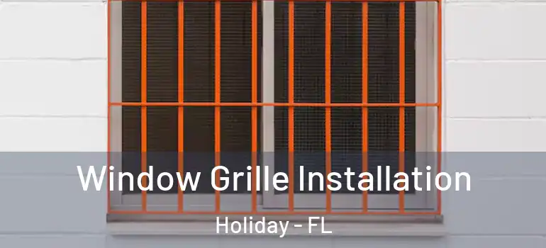 Window Grille Installation Holiday - FL