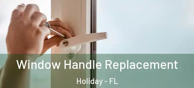 Window Handle Replacement Holiday - FL