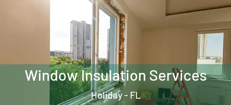 Window Insulation Services Holiday - FL