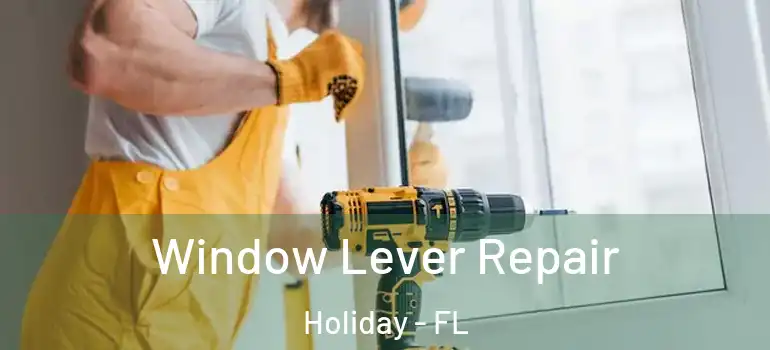 Window Lever Repair Holiday - FL