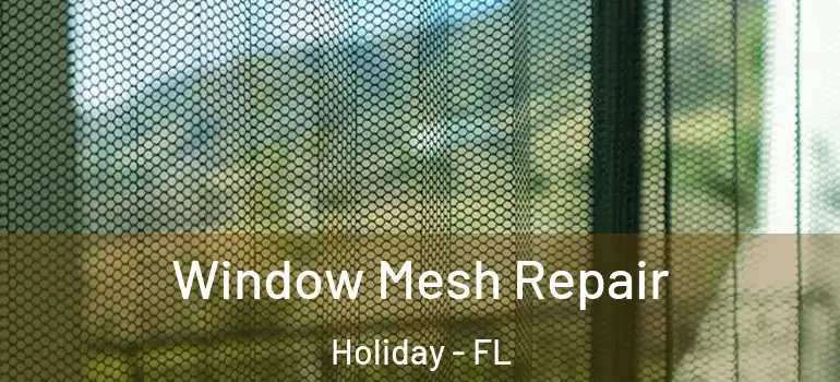 Window Mesh Repair Holiday - FL