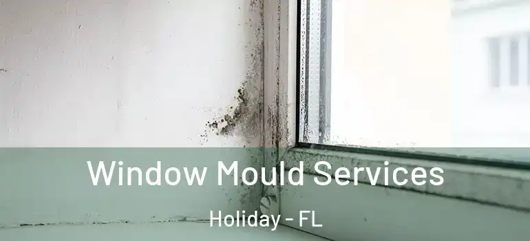 Window Mould Services Holiday - FL
