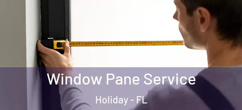 Window Pane Service Holiday - FL
