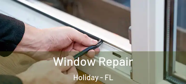 Window Repair Holiday - FL