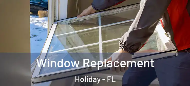 Window Replacement Holiday - FL