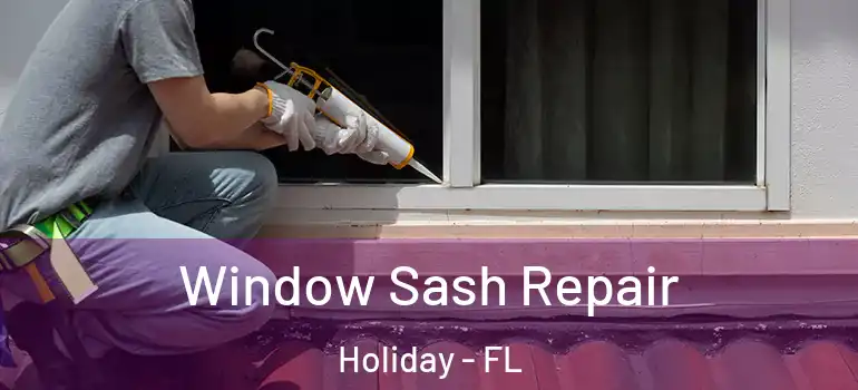 Window Sash Repair Holiday - FL