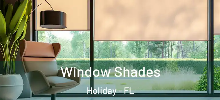 Window Shades Holiday - FL