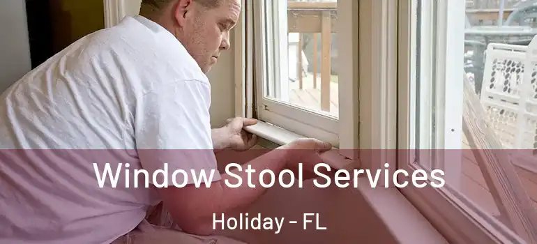 Window Stool Services Holiday - FL